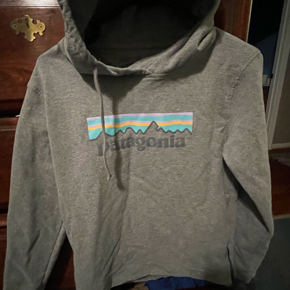 Patagonia hooded sweatshirt. - Picture 1 of 3